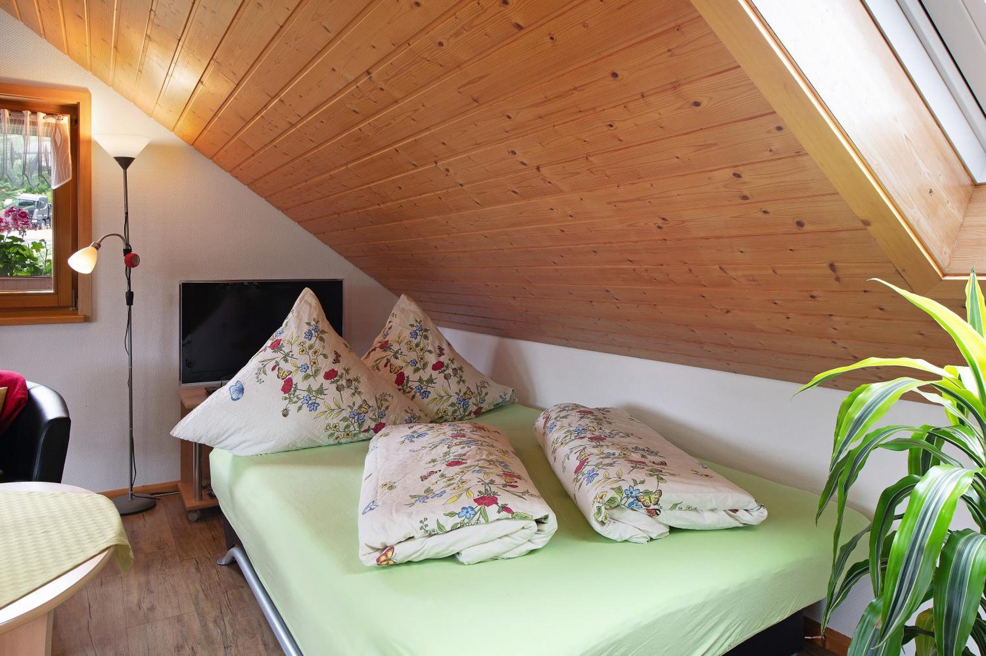 Ferienwohnung Blasi Mit Alpensicht Ibach Екстер'єр фото
